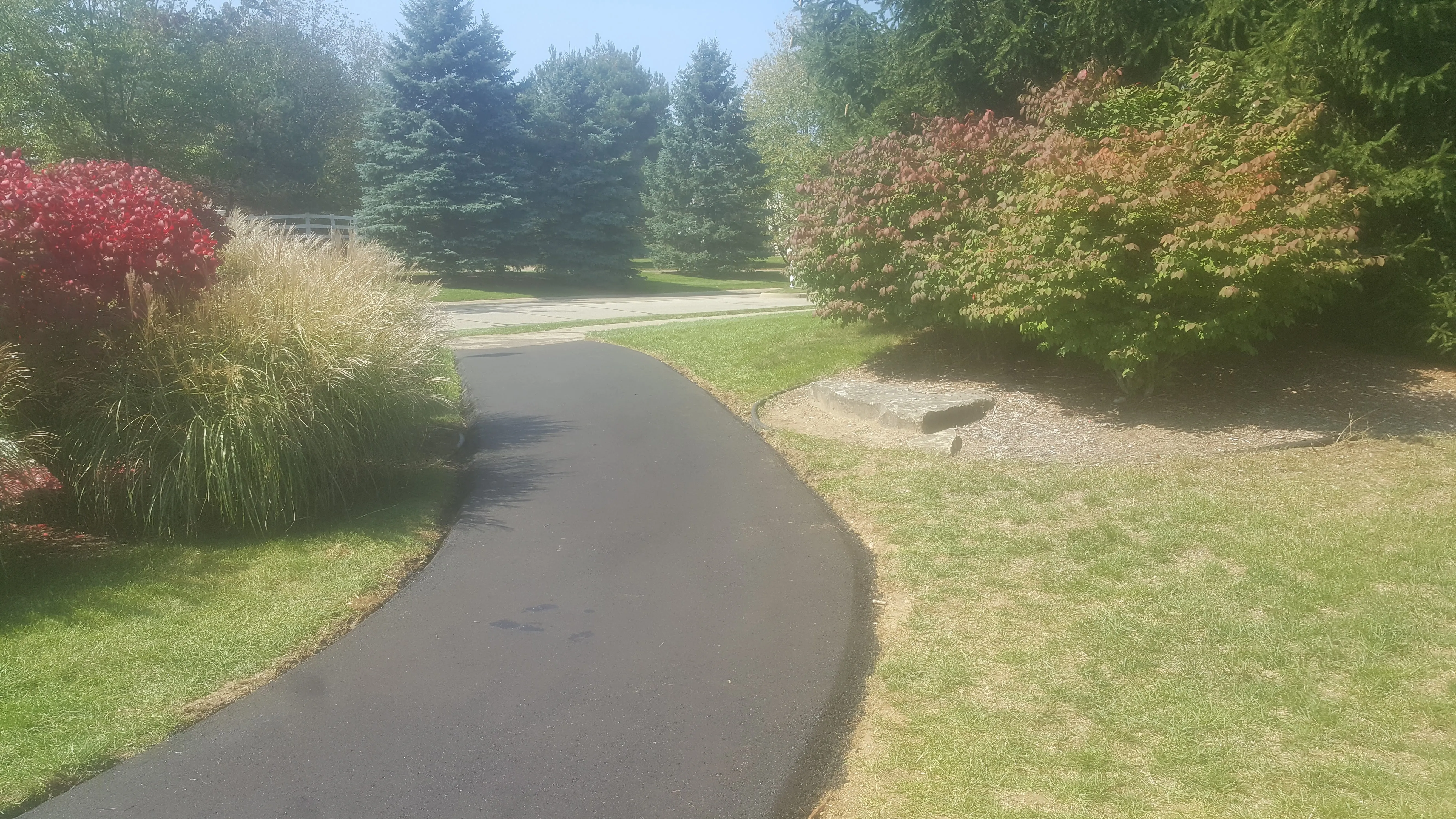 Newly replaced asphalt walking path winding through landscaped grounds